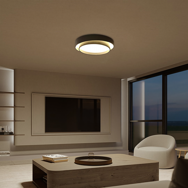 Flint Disc Ceiling Lamp